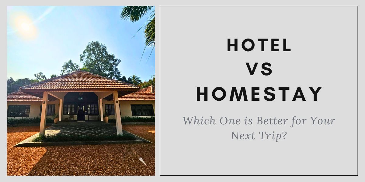 Hotel vs Homestay Which One is Better for Your Next Trip